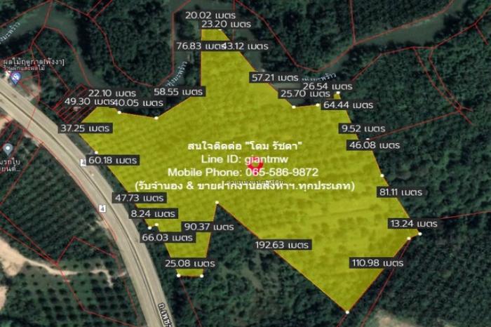 รหัส  DSL-367 ขายด่วน ๆ ที่ดิน ที่ดิน ทุ่งมะพร้าว อ.ท้ายเหมือง จ.พังงา 36 RAI 2 ngan 23 ตร.ว.  91396250 BAHT  ทำเลดี 