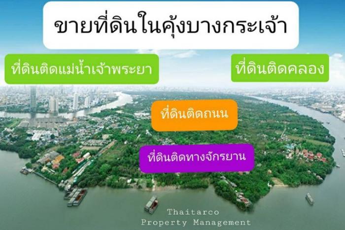 ให้บริการ ซื้อขายที่ดินในคุ้งบางกระเจ้า มีที่ดินติดคลอง ติดแม่น้ำเจ้าพระยา ติดถนน ติดทางจักรยาน 0813036969